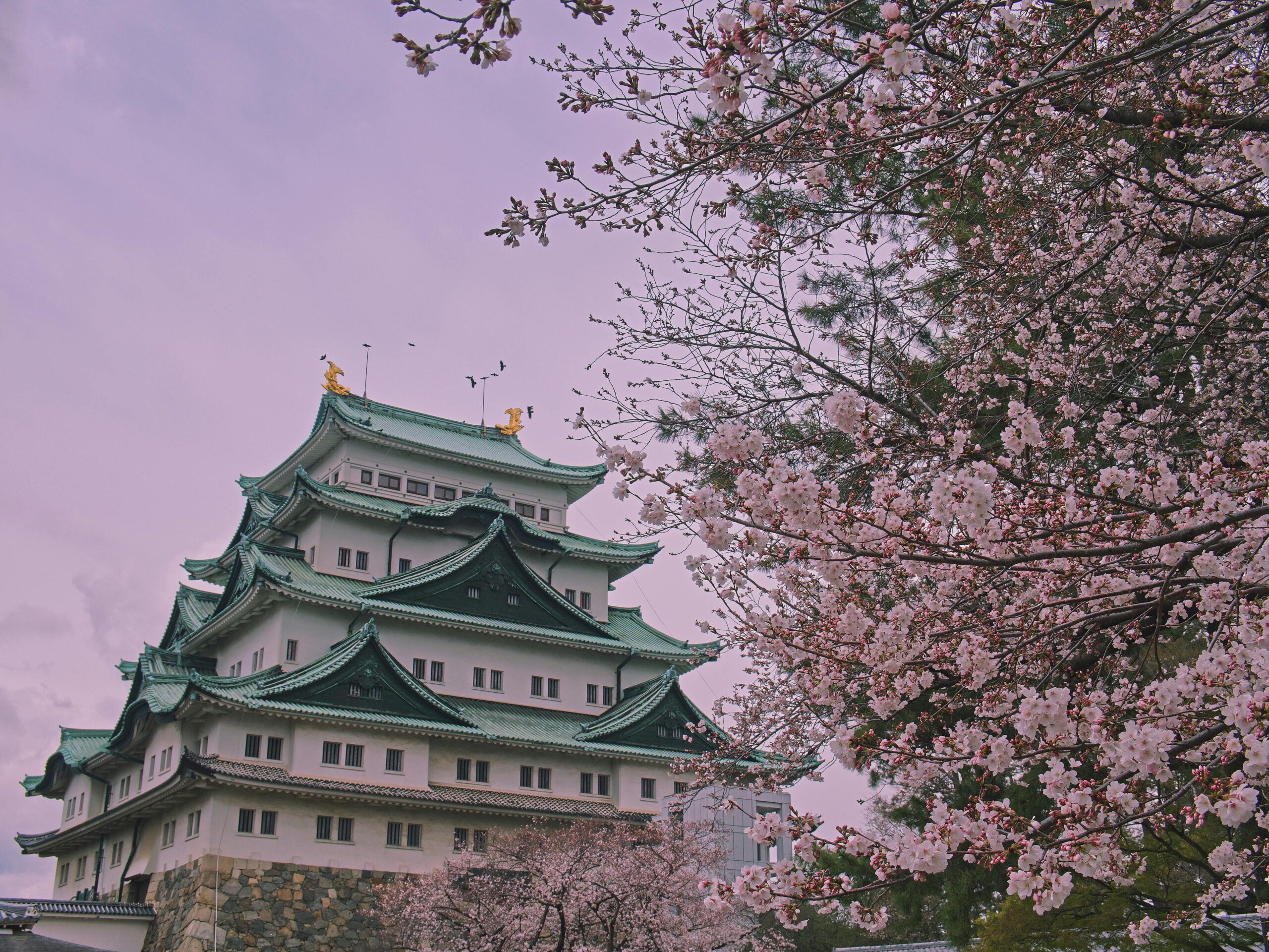 Why Nagoya Is the Rising Star for Global Entrepreneurs
