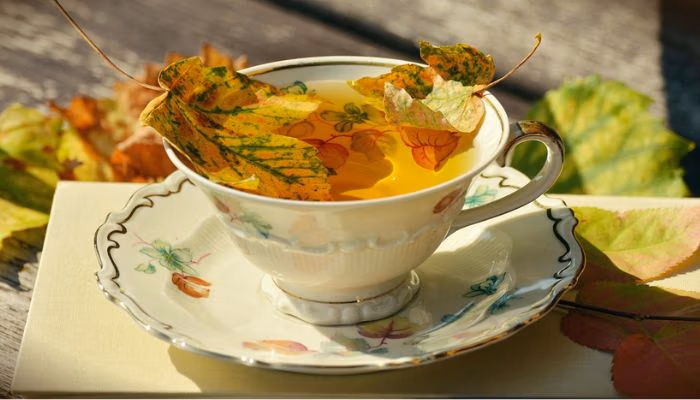 Vendors Needed: Agri-Business, Special Needs Education & Tea Industry Opportunities