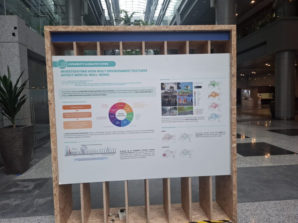 Project on how Infrastructure affects Mental Well-being